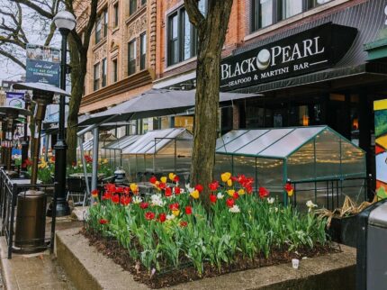 Ann Arbor Bed And Breakfast - Stone Chalet B&B, Ann Arbor MI